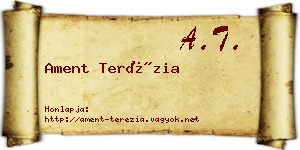 Ament Terézia névjegykártya